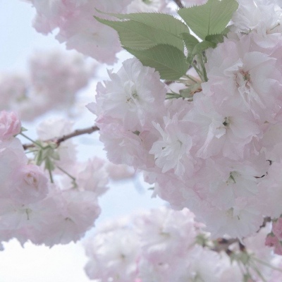 五峰FurryQQ群介绍